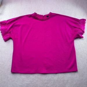 Ann Taylor mixed media eyelet ruffle trim blouse in pink XXL